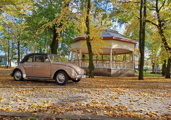 Volkswagen Garbus cena 95000 przebieg: 86000, rok produkcji 1971 z Września małe 667
